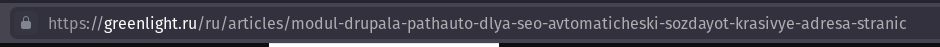 Итог работы модуля Pathauto - красивый правильно транслитерированный с кириллицы адрес страницы URL